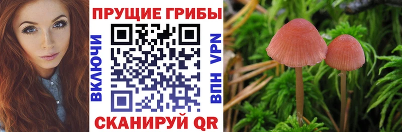 Псилоцибиновые грибы ЛСД  Кизляр 